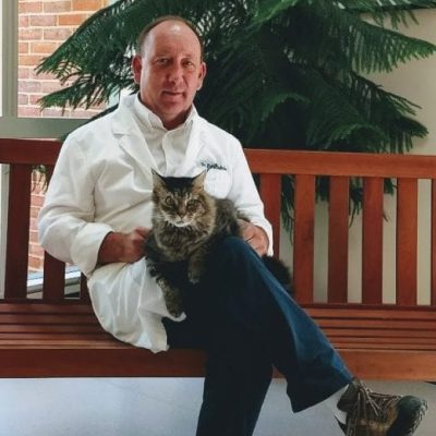 McArthur Animal Pet Hospital | Veterinarian | Oak Ridge Tn